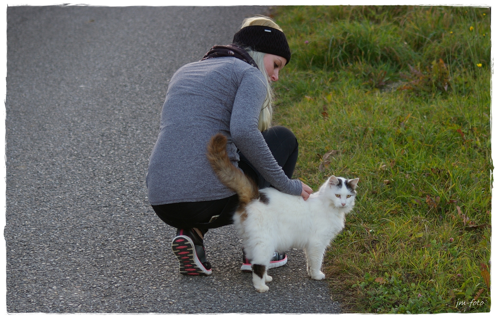 Zutrauliche Katze