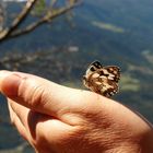 Zutraulicher Schmetterling