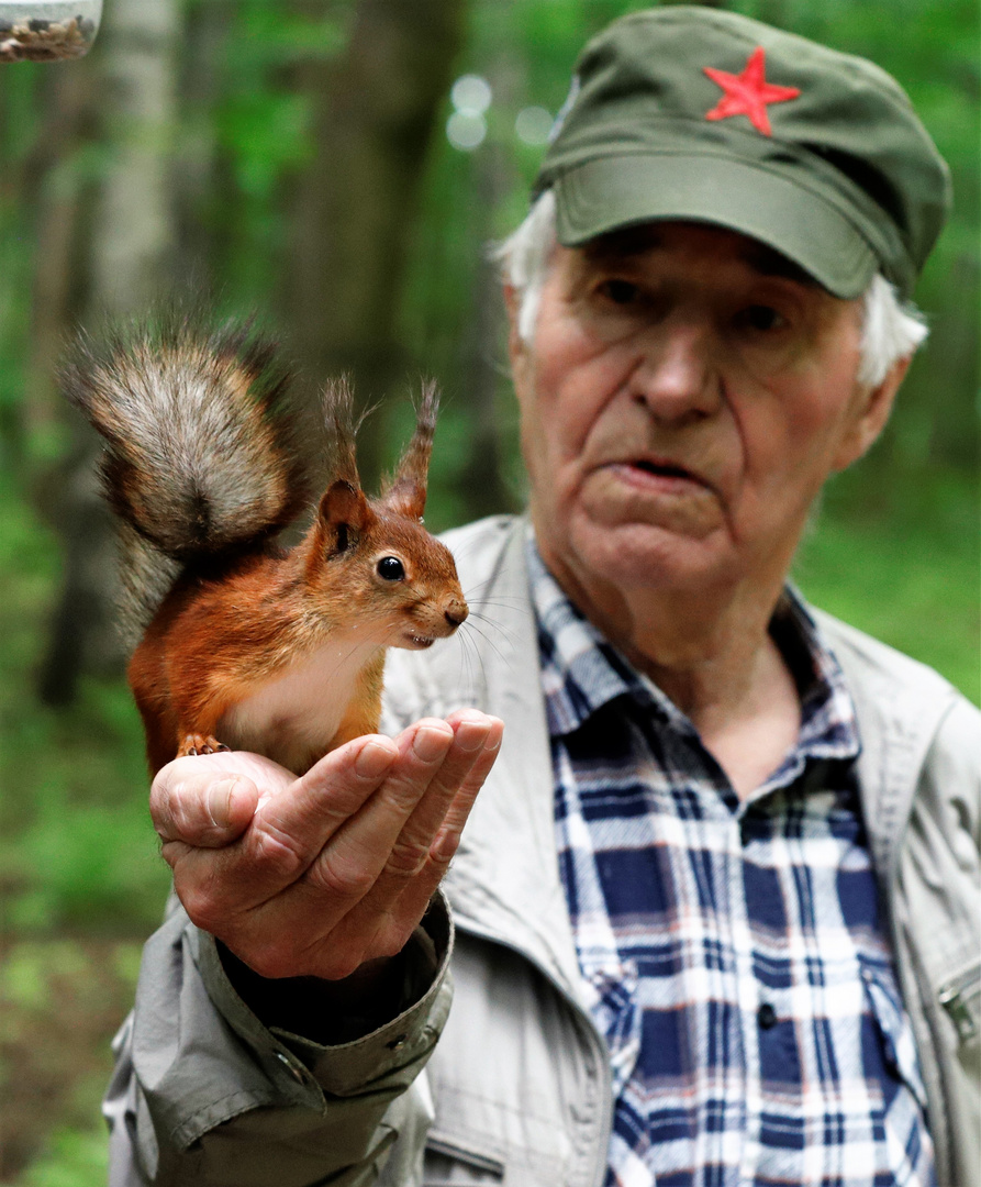 Zutrauliches Moskauer Eichhörnchen