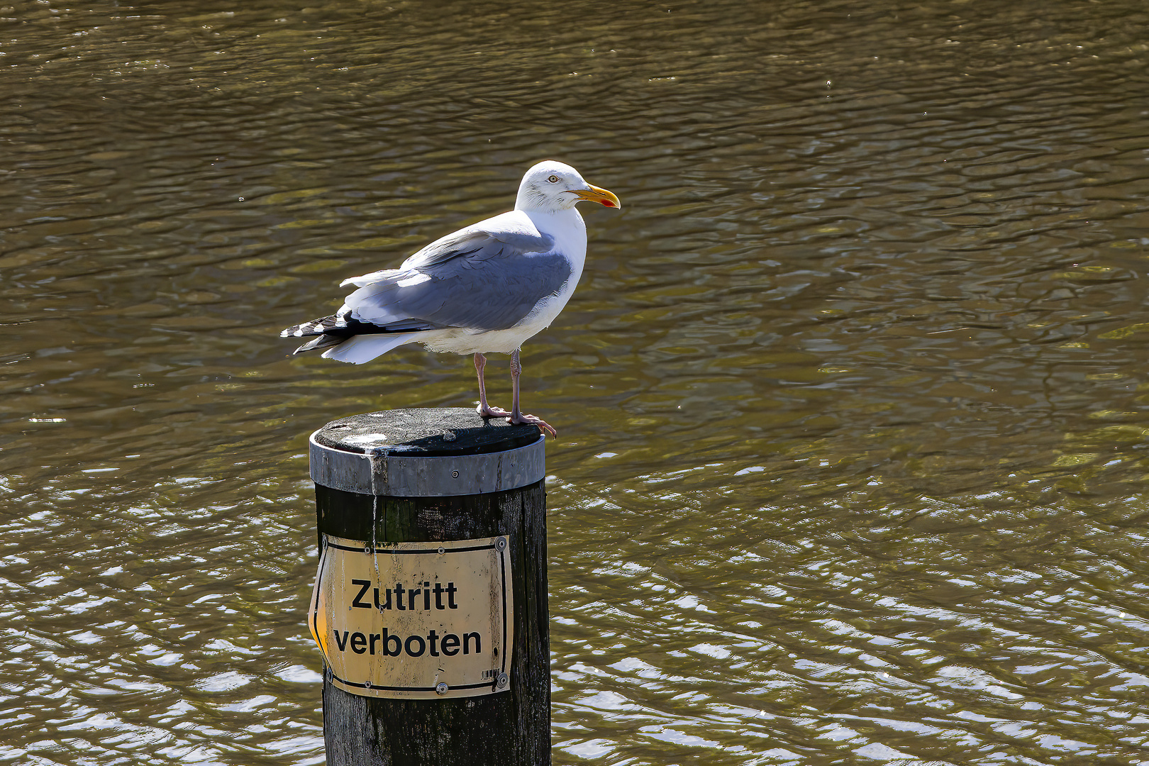 Zutritt verboten!