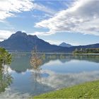 zuviel Wasser im Forggensee