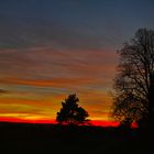 Zwaa Baam beim Sonnenuntergang in Pottenstein