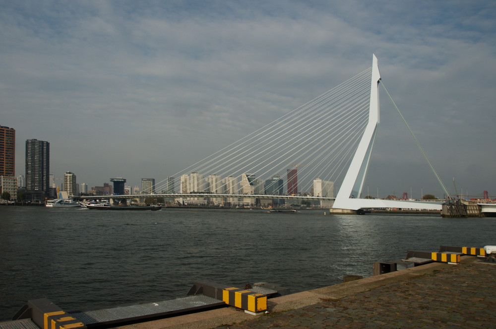 Zwaan brucke in Rotterdam