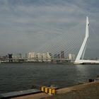 Zwaan brucke in Rotterdam