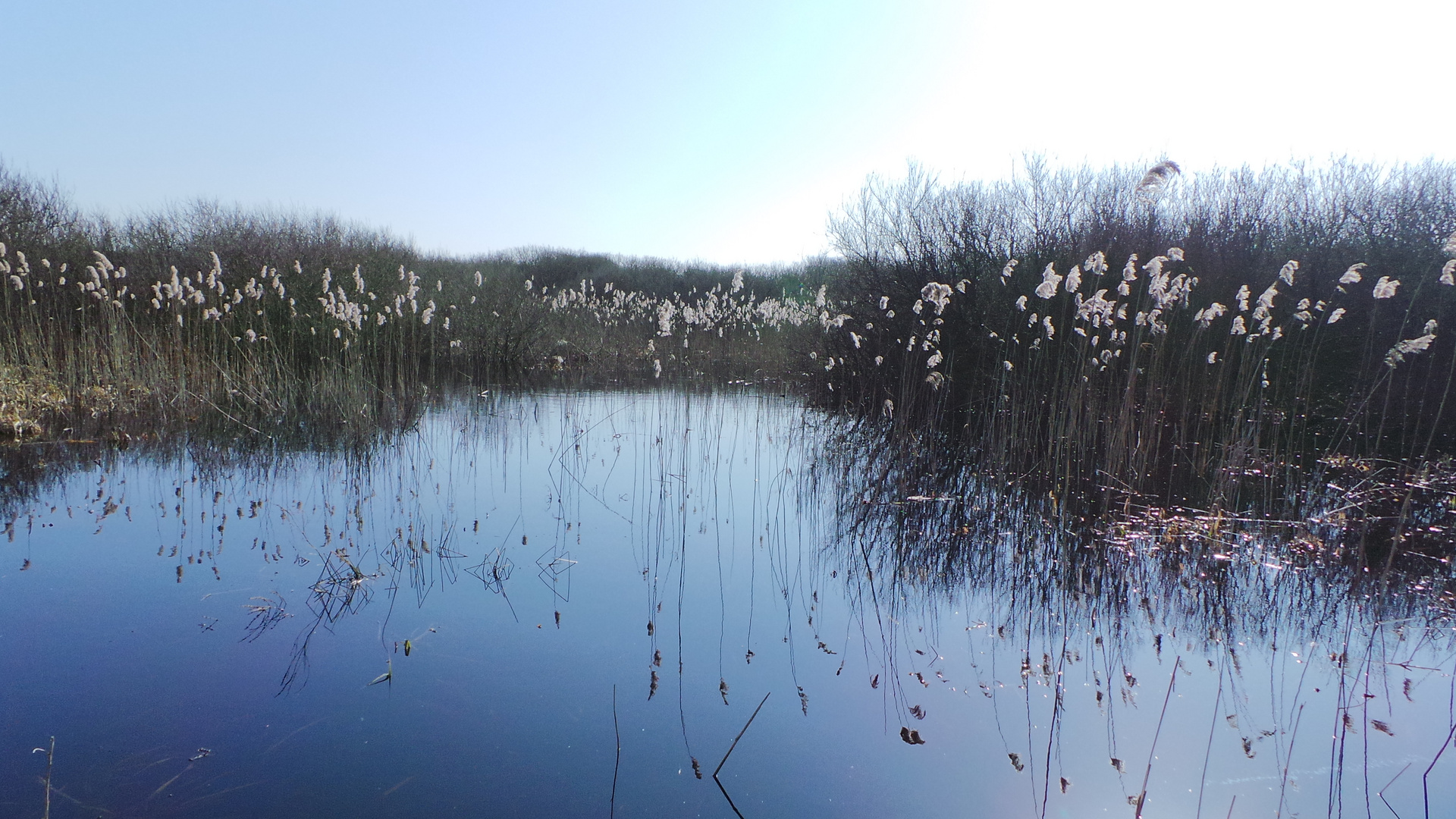 Zwanenwater, Callantsoog (Netherlands)