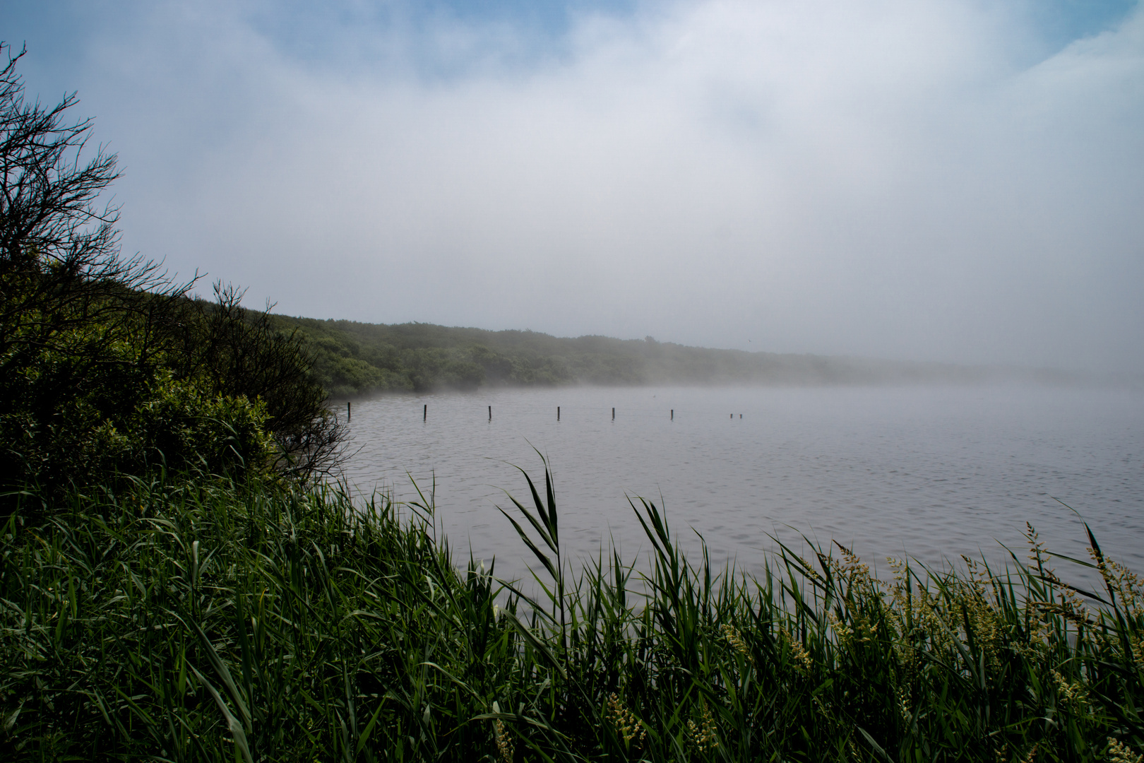 Zwanenwater im Nebel, Niederlande