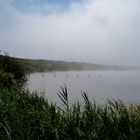 Zwanenwater im Nebel, Niederlande