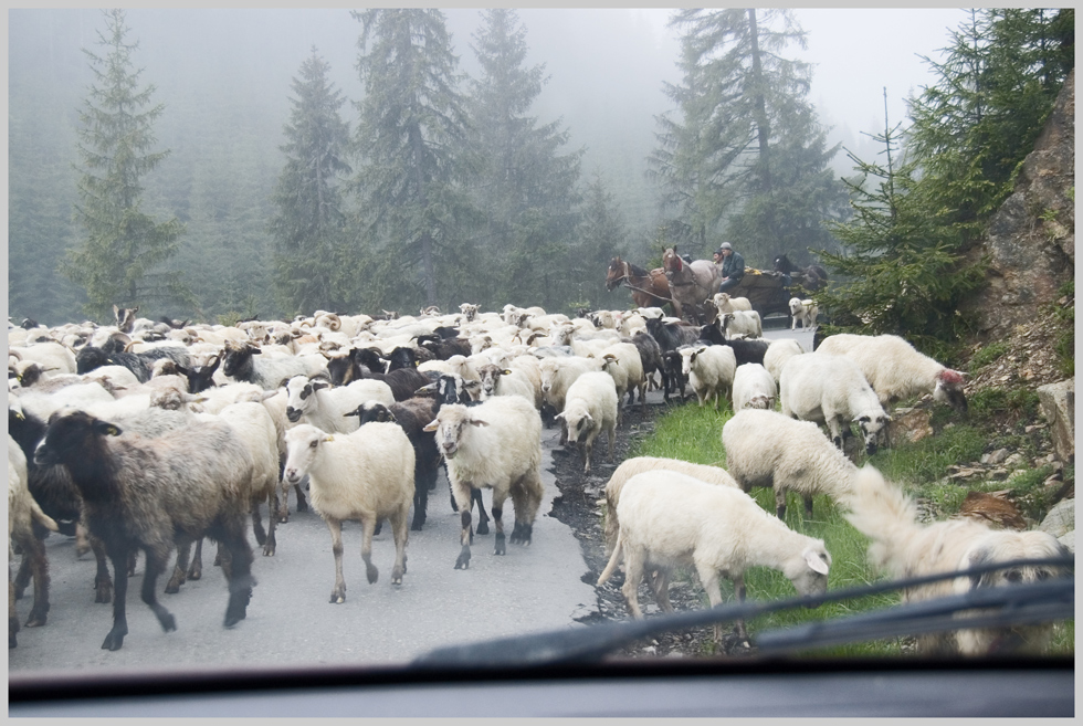 Zwangspause- Auf dem Prislop- Pass in der Maramuresch