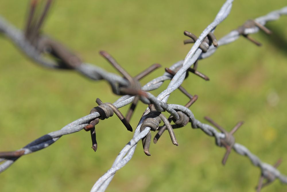 zwanzigelf An der innerdeutschen Grenze