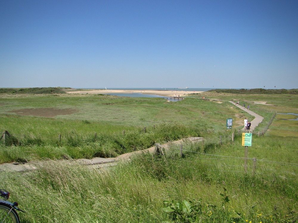 zwarte polder - nieuwvliet bad