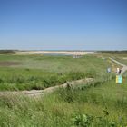 zwarte polder - nieuwvliet bad