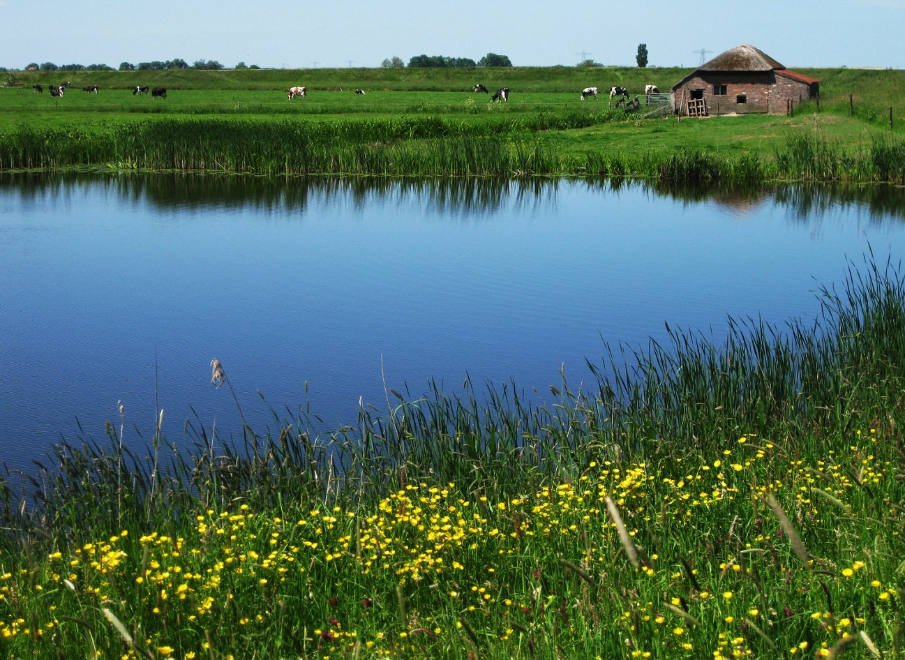 Zwartewaterland bei Hasselt