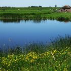 Zwartewaterland bei Hasselt