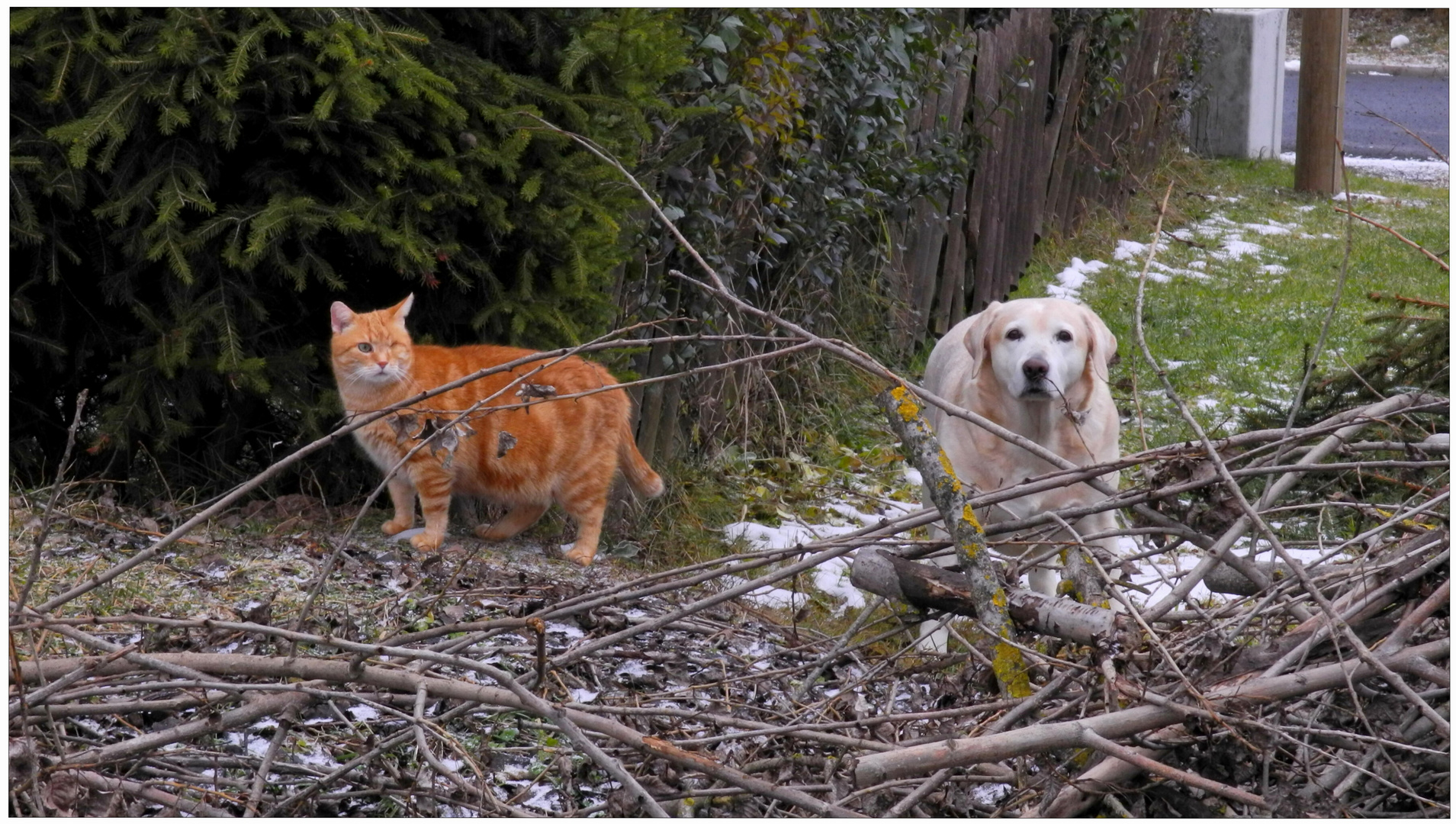 Zwei abenteuerlustige Freunde (dos amigos aventureros)