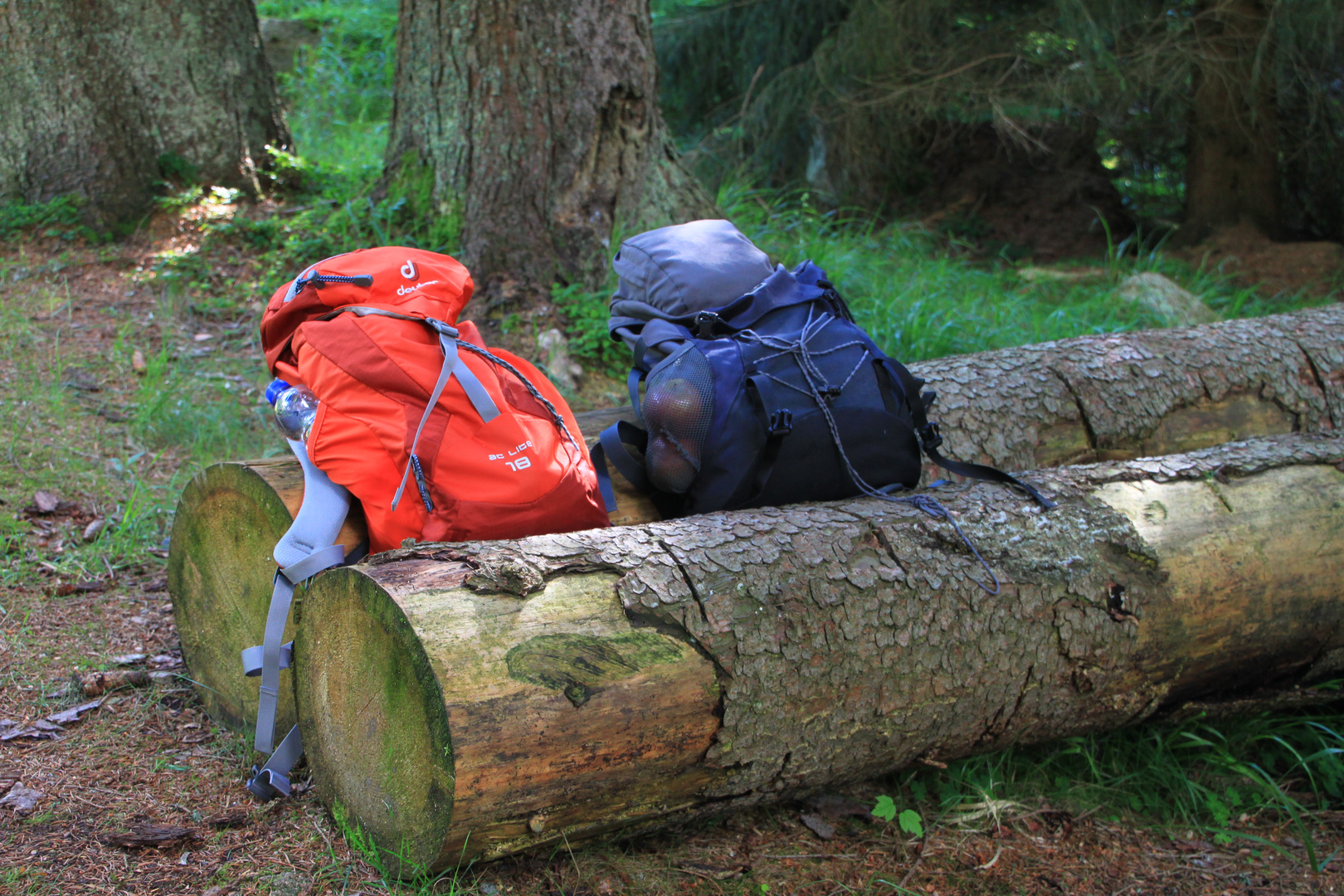 Zwei allein im Wald