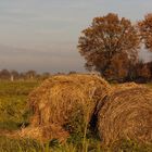 Zwei alte Freunde - Herbst