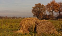 Zwei alte Freunde - Herbst