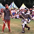 Zwei alte Haudegen...auferstanden in Warwick Castle (England)