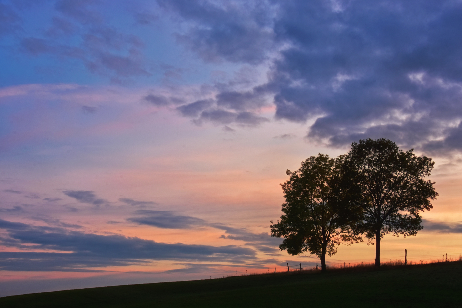 Zwei am Abend