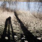 Zwei am Baum am See mit Maulwurfshaufen