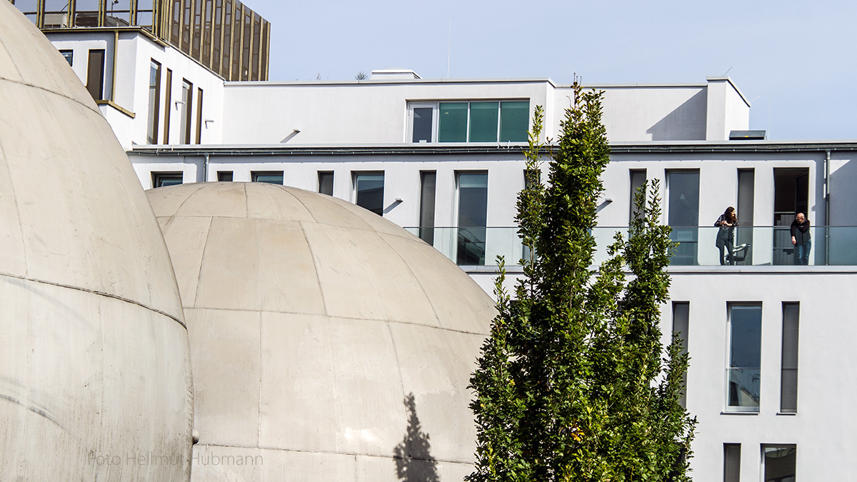 ZWEI AM BUSEN DER WISSENSCHAFT oder