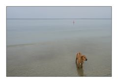 zwei am FKK-Strand