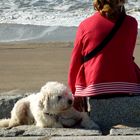 Zwei am Meer (Norderney 2009)