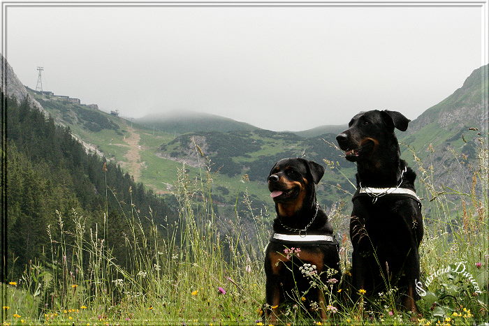 Zwei am Nebelhorn