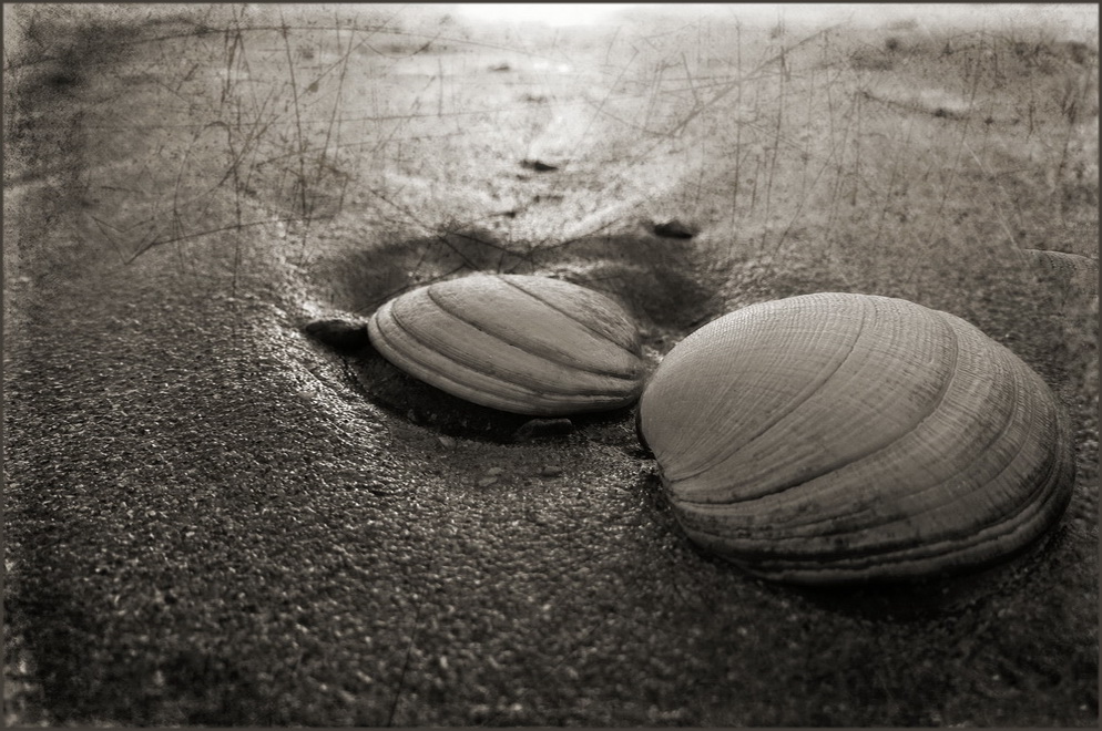 Zwei am Strand