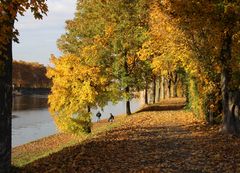 Zwei Angler am Neckar