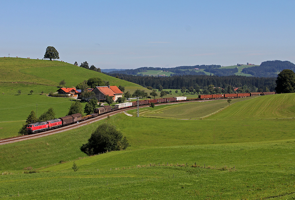 Zwei Arbeitstiere im idyllischen Allgäu