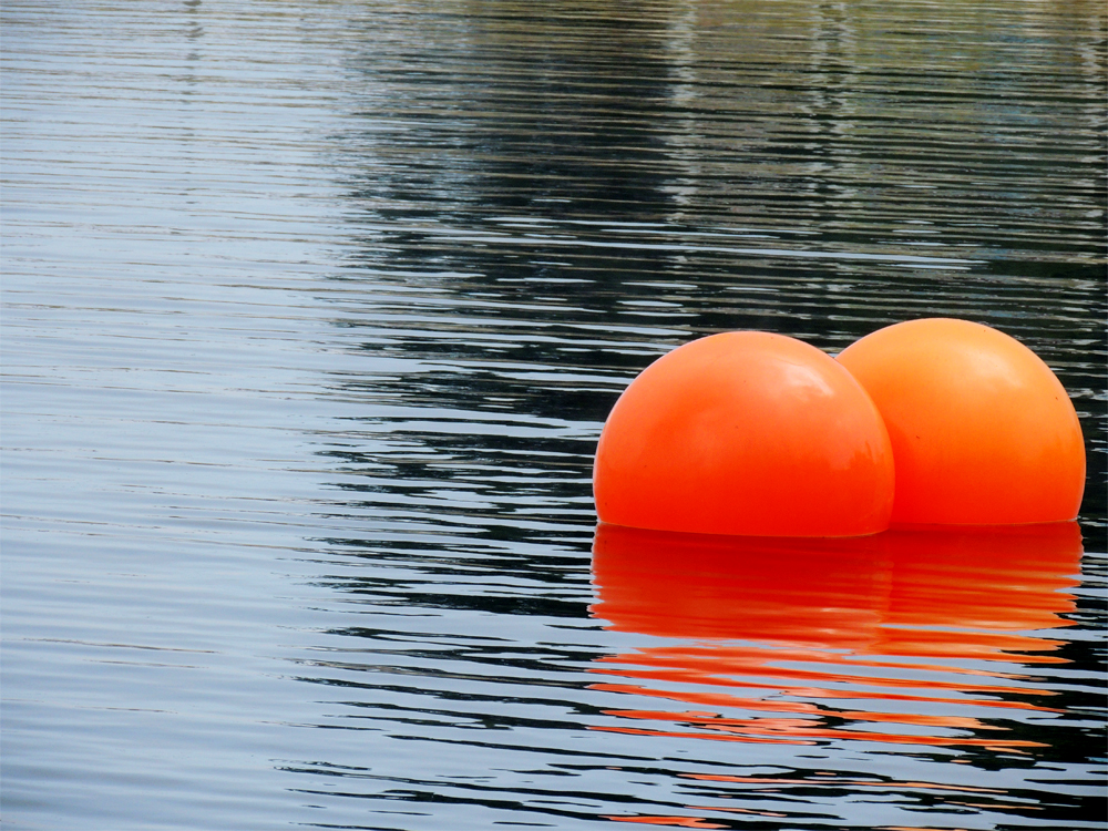 Zwei auf dem See