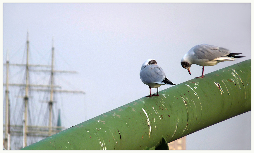 zwei auf der Brücke