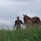 Zwei auf der Wiese