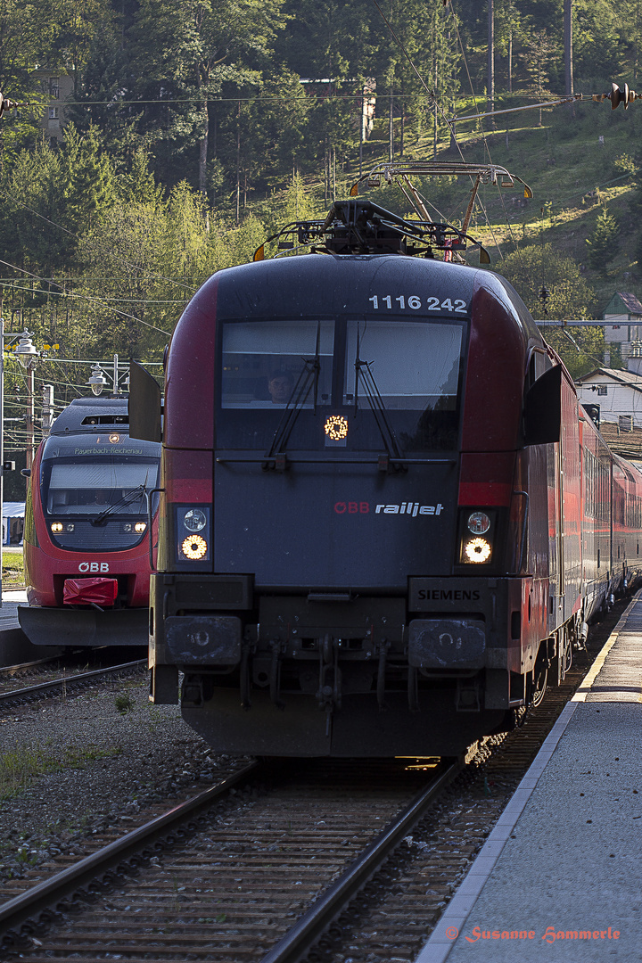 Zwei auf einen Streich