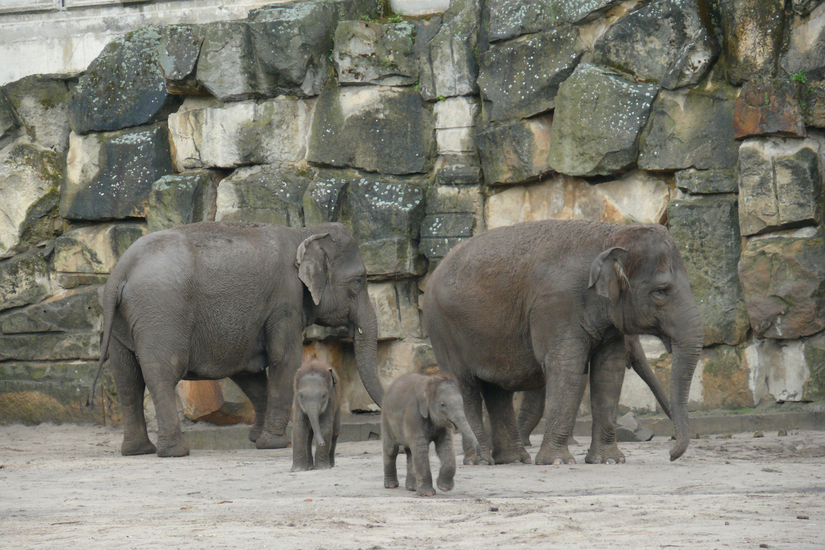 Zwei Babys auf Entdeckungstour....