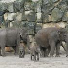 Zwei Babys auf Entdeckungstour....