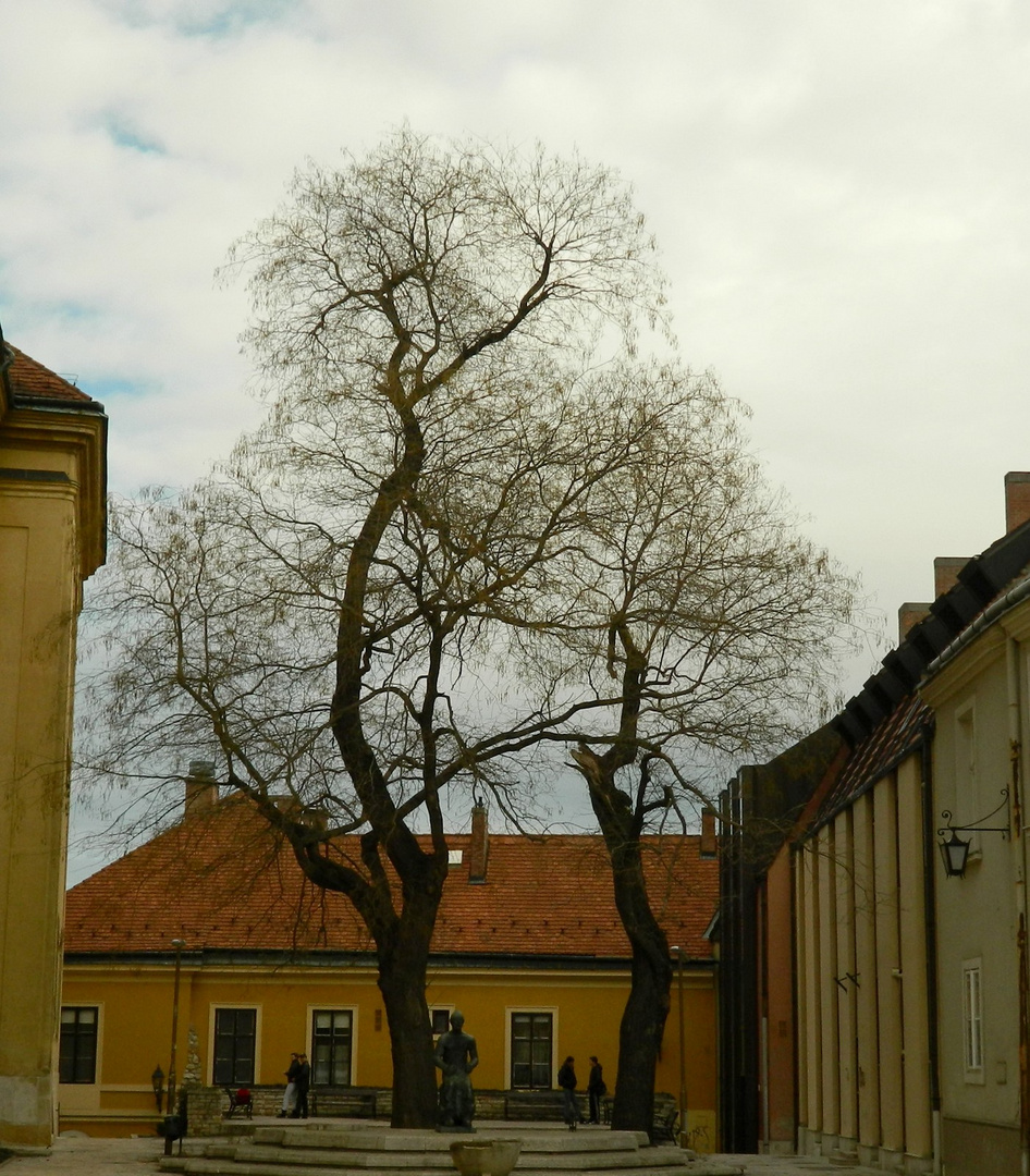 zwei Bäume