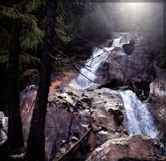 Zwei Bäume am Wasserfall