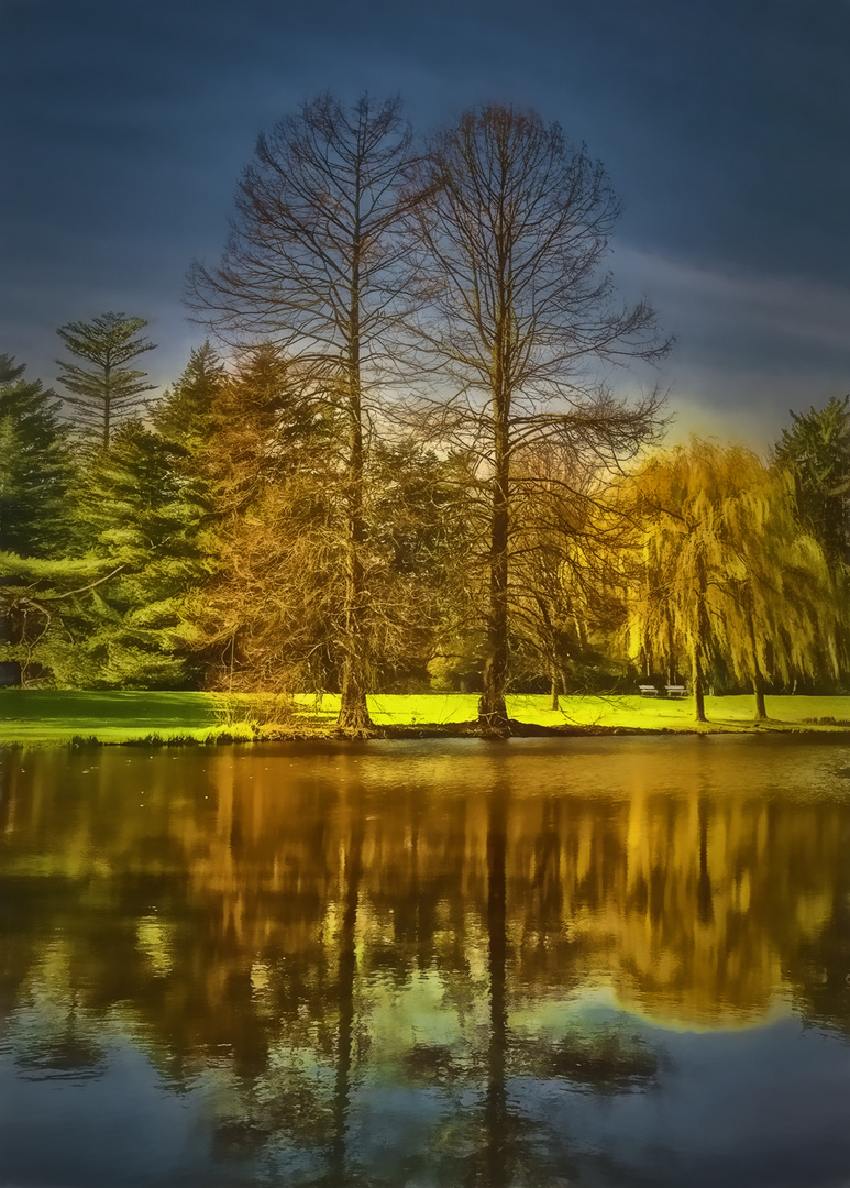 zwei Bäume im Bürgerpark