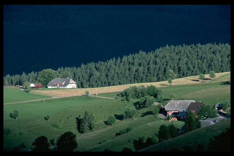 zwei bauernhäuser am schauinsland