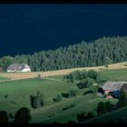 zwei bauernhäuser am schauinsland