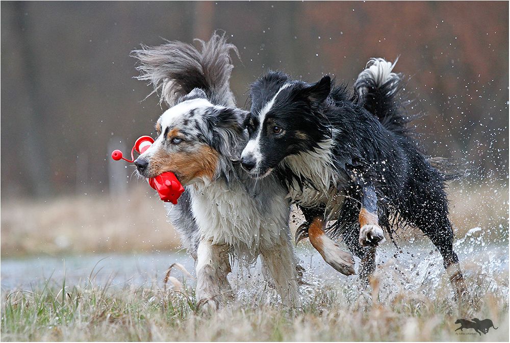 Zwei beim spielen