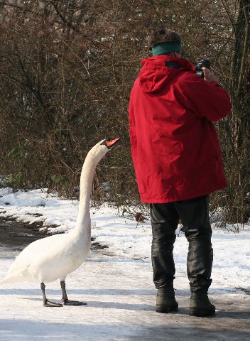 zwei Beobachter einer Vogelhochzeit