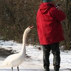 zwei Beobachter einer Vogelhochzeit