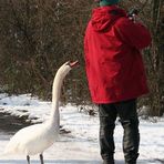 zwei Beobachter einer Vogelhochzeit