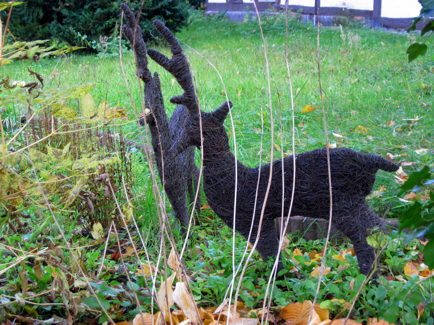 Zwei Besucher