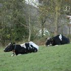 zwei Bilder ohne Doppelbelichtung