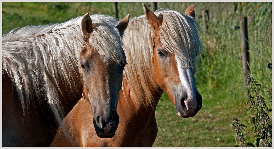 zwei Blondinen