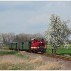 Zwei blühende Bäume am Bahnübergang